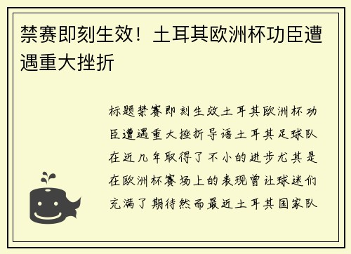 禁赛即刻生效！土耳其欧洲杯功臣遭遇重大挫折