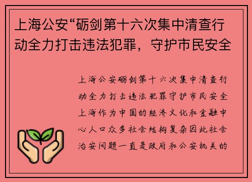上海公安“砺剑第十六次集中清查行动全力打击违法犯罪，守护市民安全