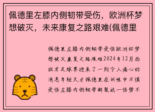 佩德里左膝内侧韧带受伤，欧洲杯梦想破灭，未来康复之路艰难(佩德里 前腰)