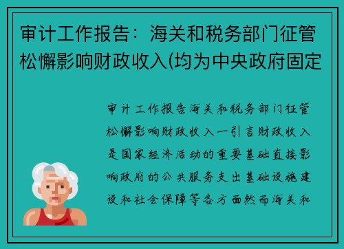 审计工作报告：海关和税务部门征管松懈影响财政收入(均为中央政府固定收入)
