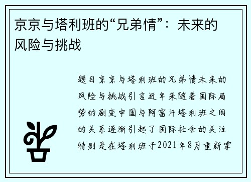 京京与塔利班的“兄弟情”：未来的风险与挑战